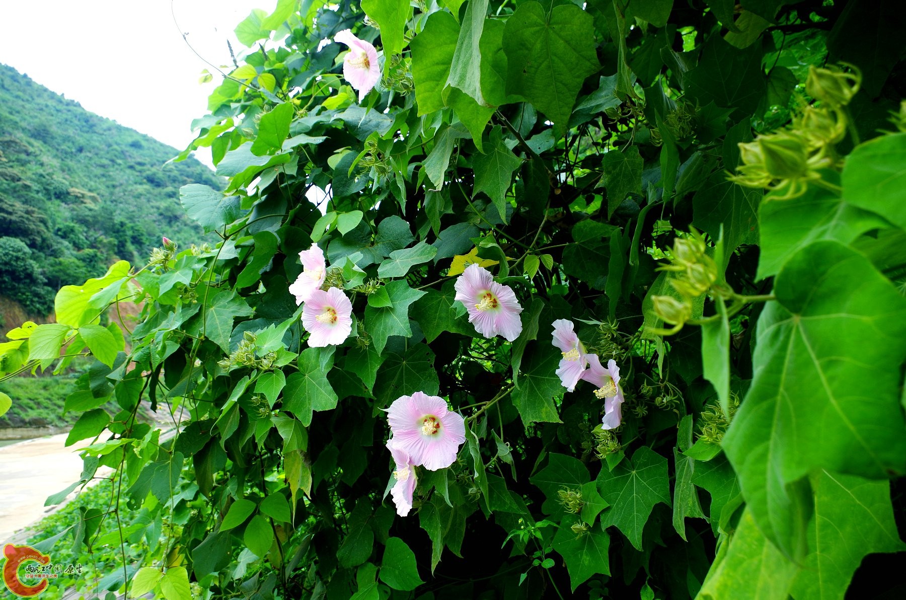 IMGP3856.JPG