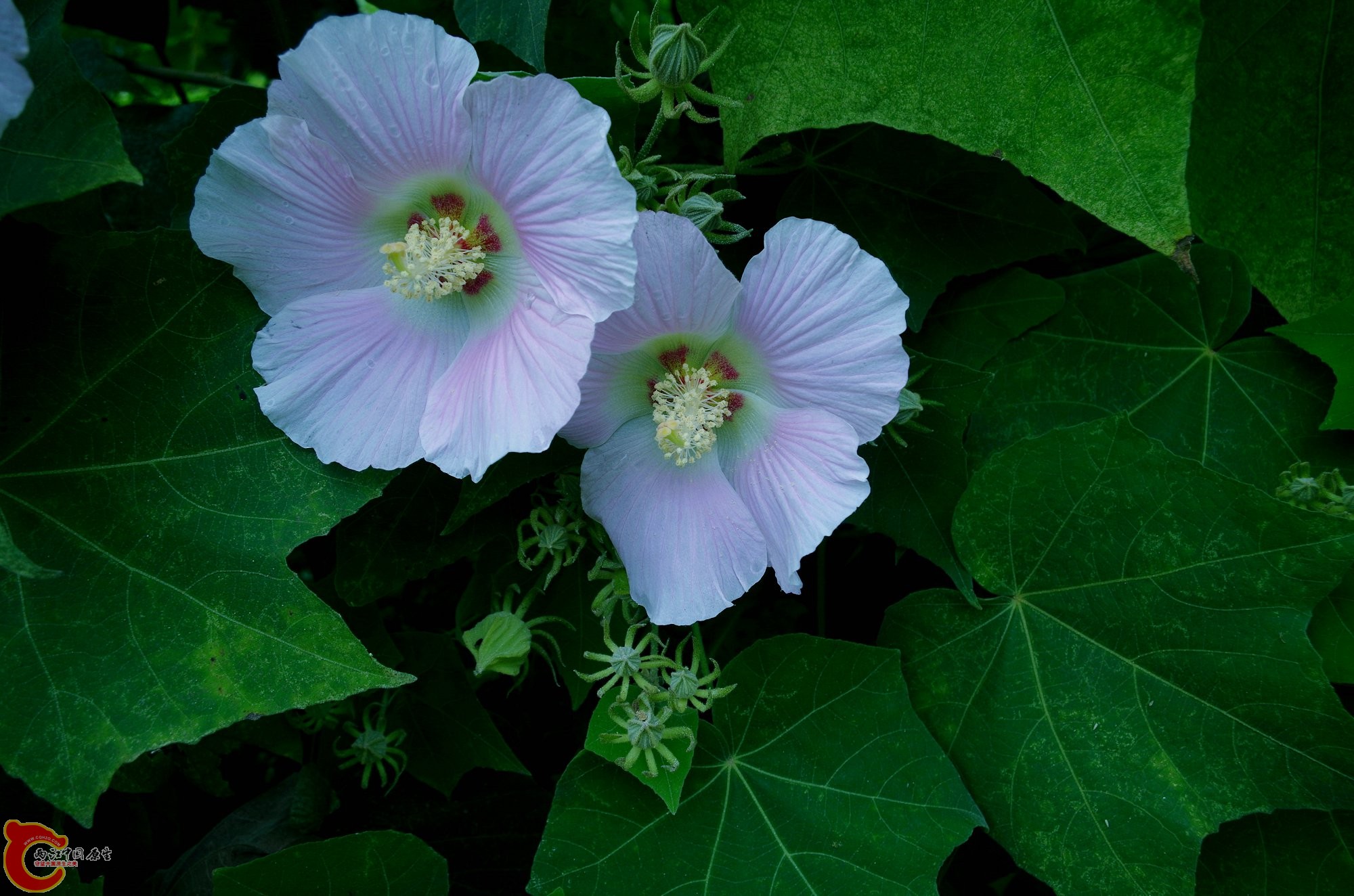 IMGP3859.JPG
