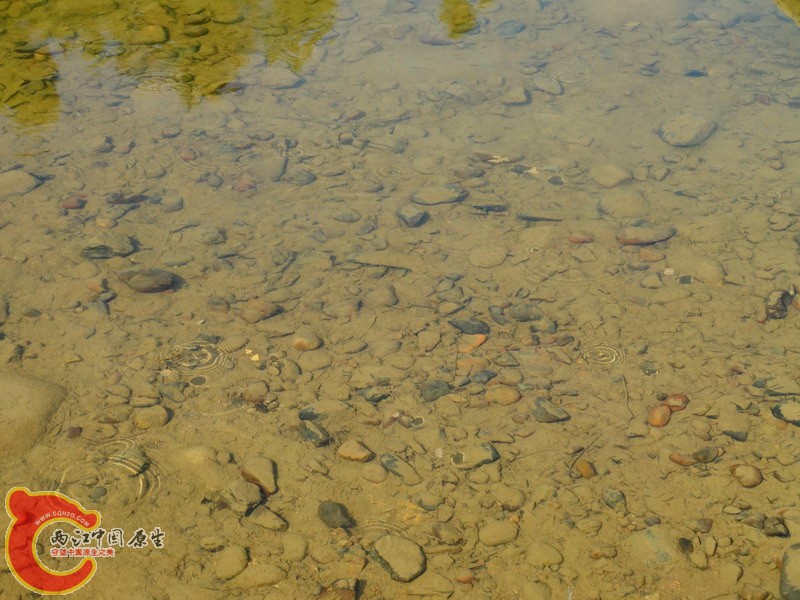 DSC01915.jpg