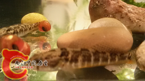 20151028_202410.jpg
