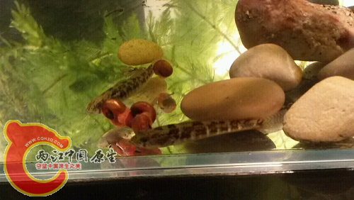 20151028_202144.jpg