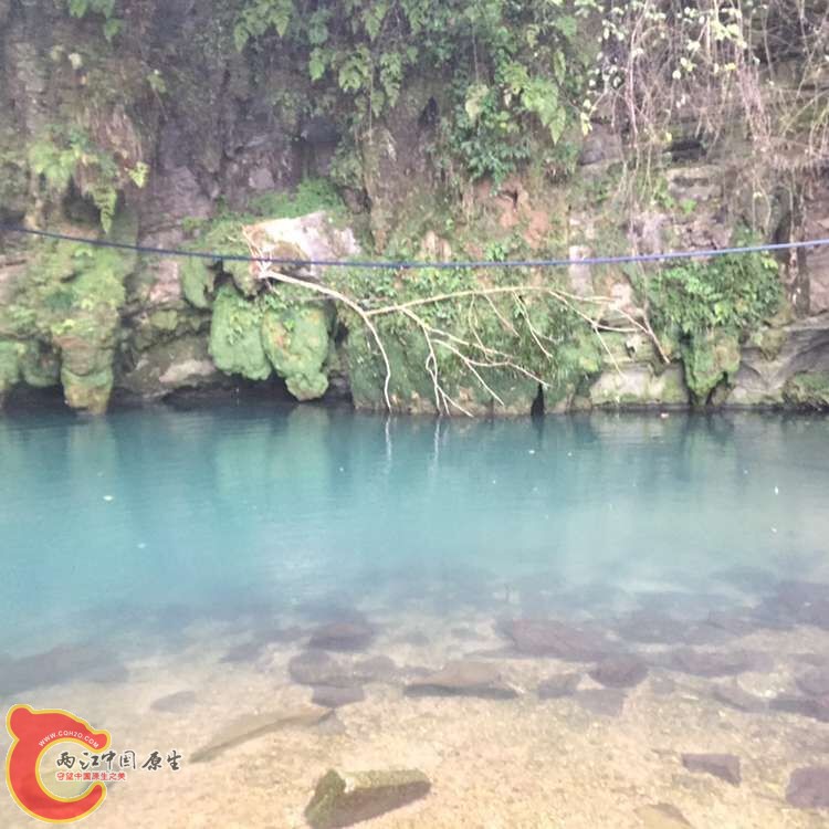 QQ图片20151031173211.jpg