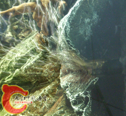 QQ图片20151102101103.png QQ图片20151102101103.png