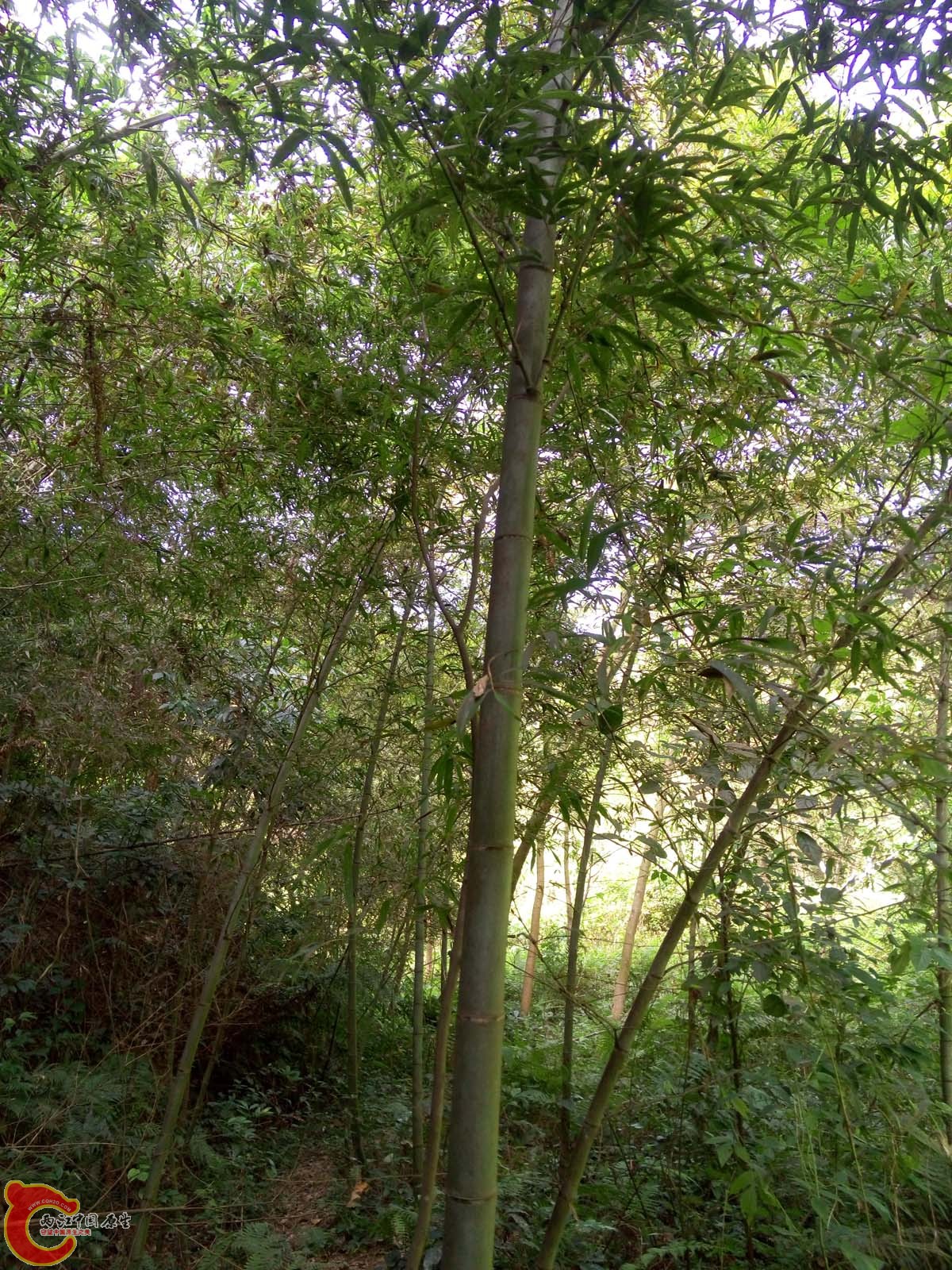 P51102-121541.jpg