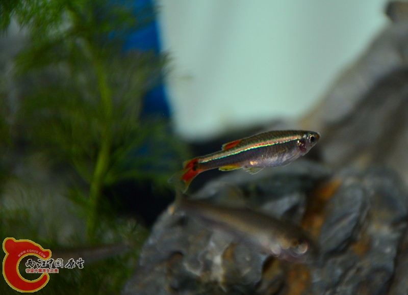 DSC_1380.JPG