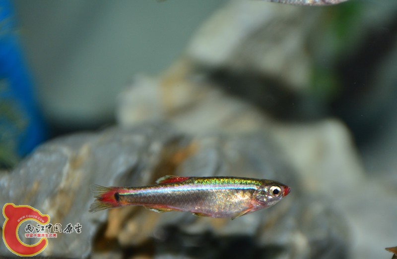 DSC_1389.JPG