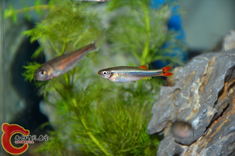 DSC_1390.JPG