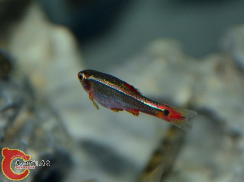 DSC_1401.JPG