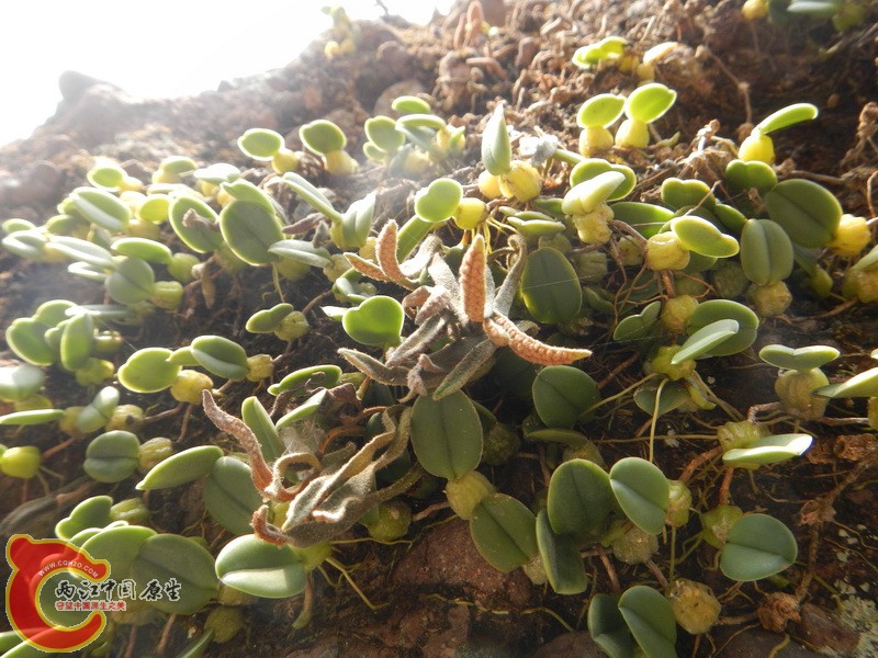 DSCN5104_调整大小.JPG