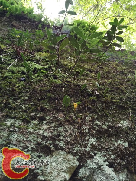 IMG_20150919_142608_调整大小.jpg