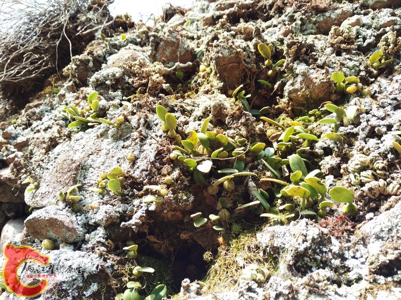 IMG_20151024_144901_调整大小.jpg