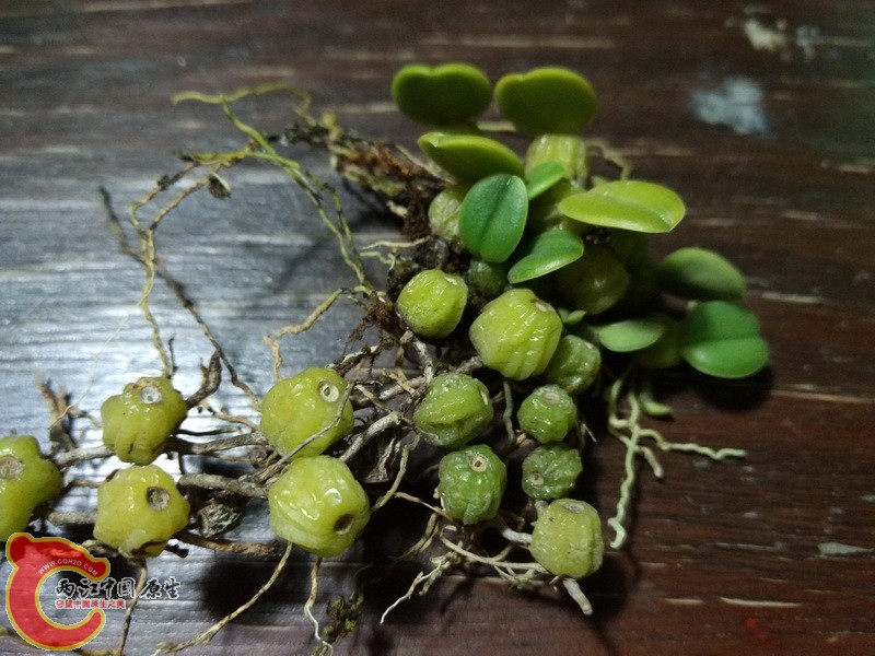 IMG_20151024_181526_调整大小.jpg