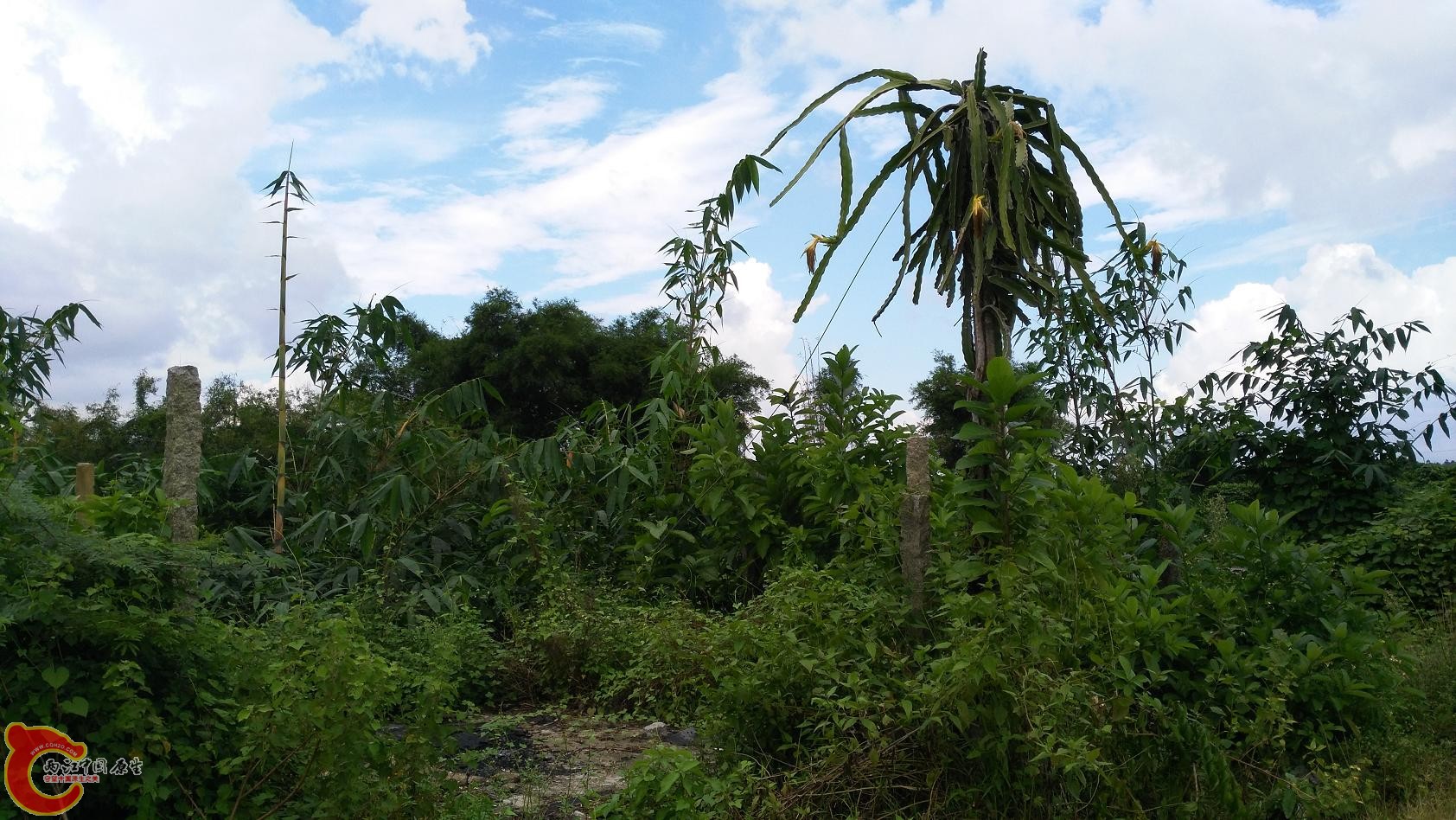 第二处，小溪(没拍到照片)