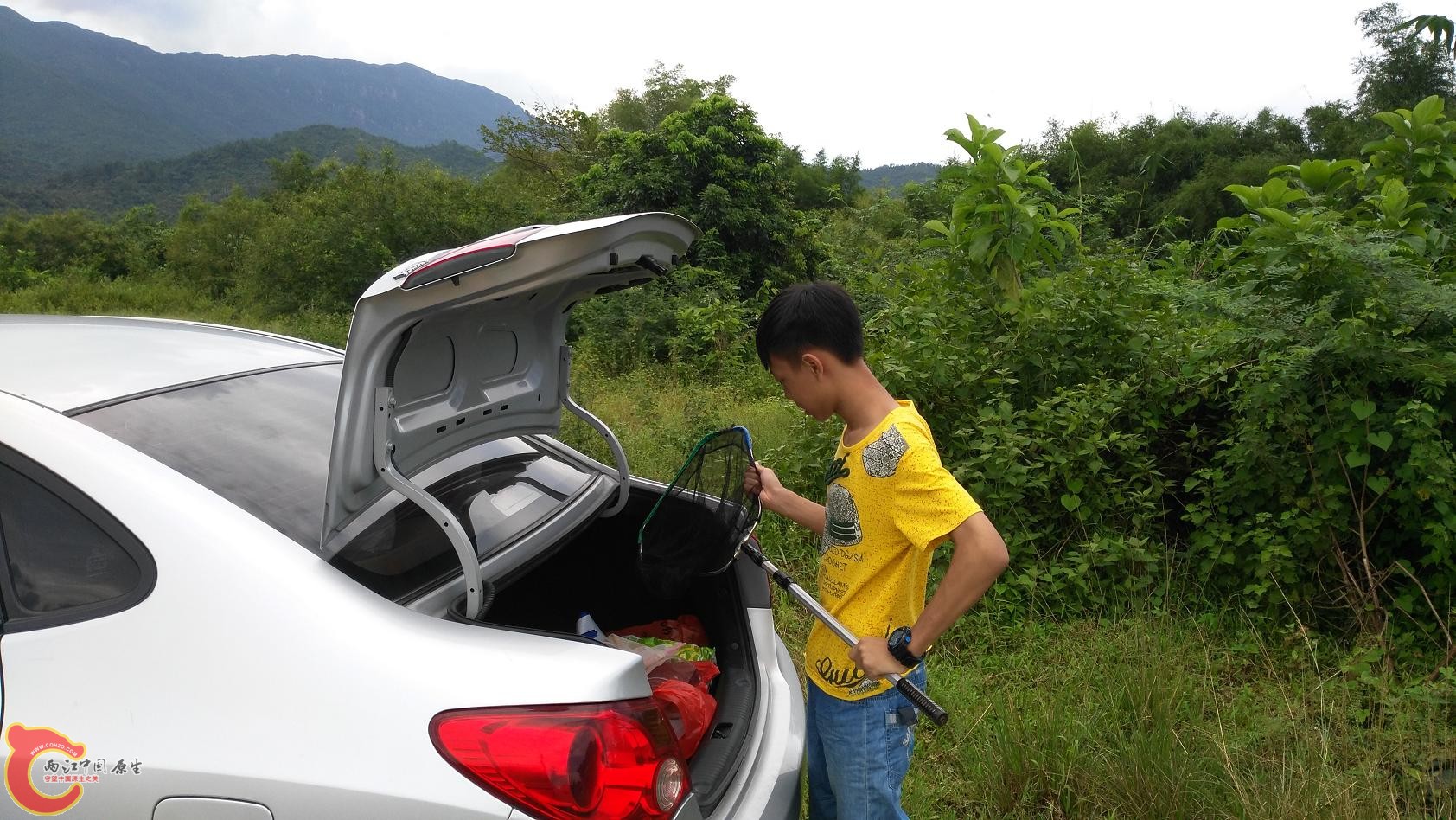 下车，抄网(收获刺鳍一条)