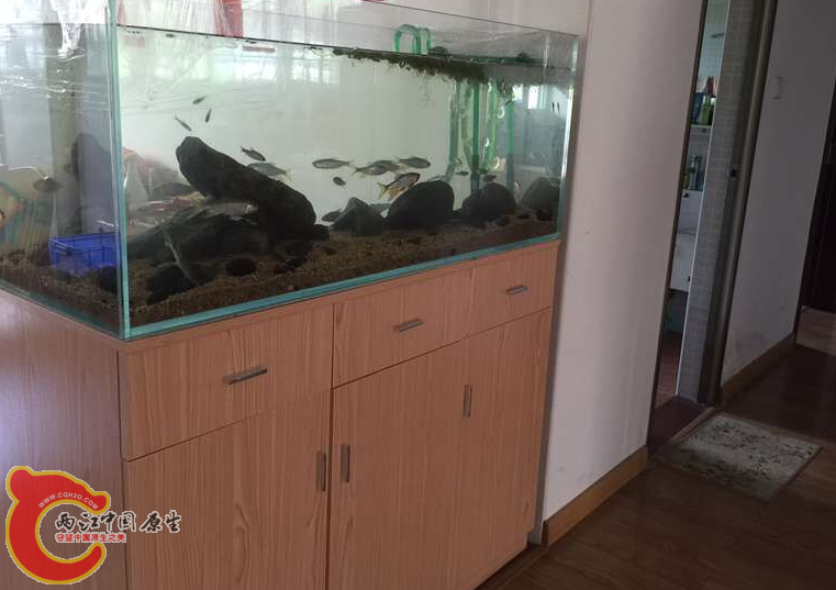 QQ截图20151107224028.png