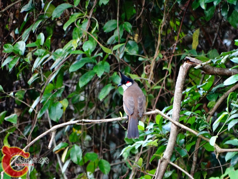 DSC01987.JPG