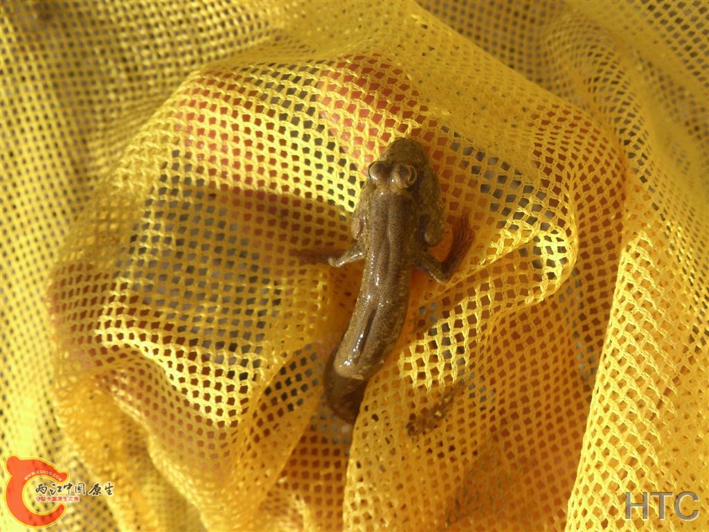 DSC_3231.JPG