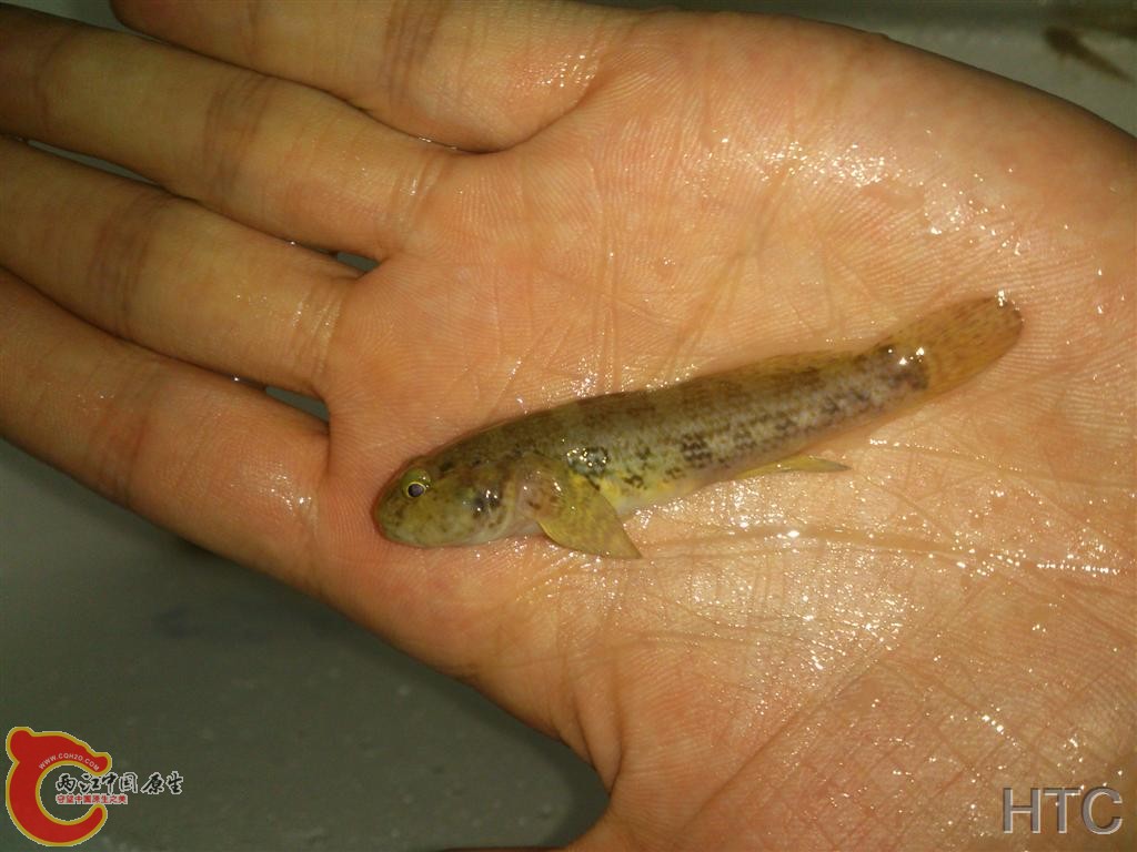 IMG20151108234525.JPG