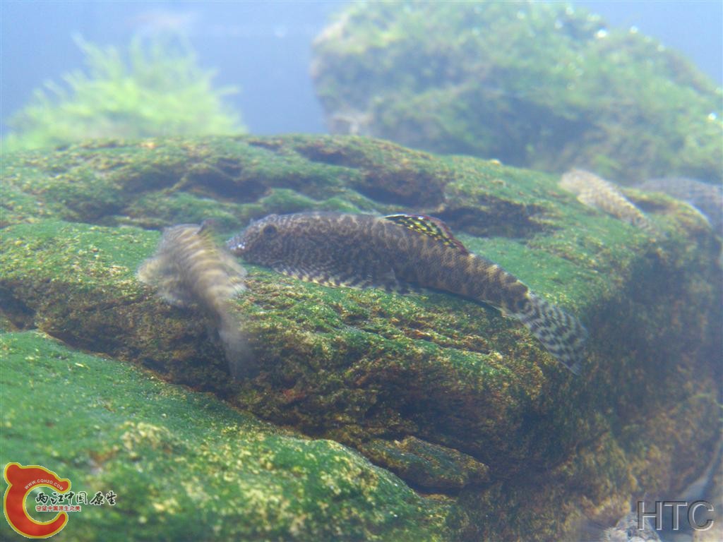 IMG20150921015605.JPG
