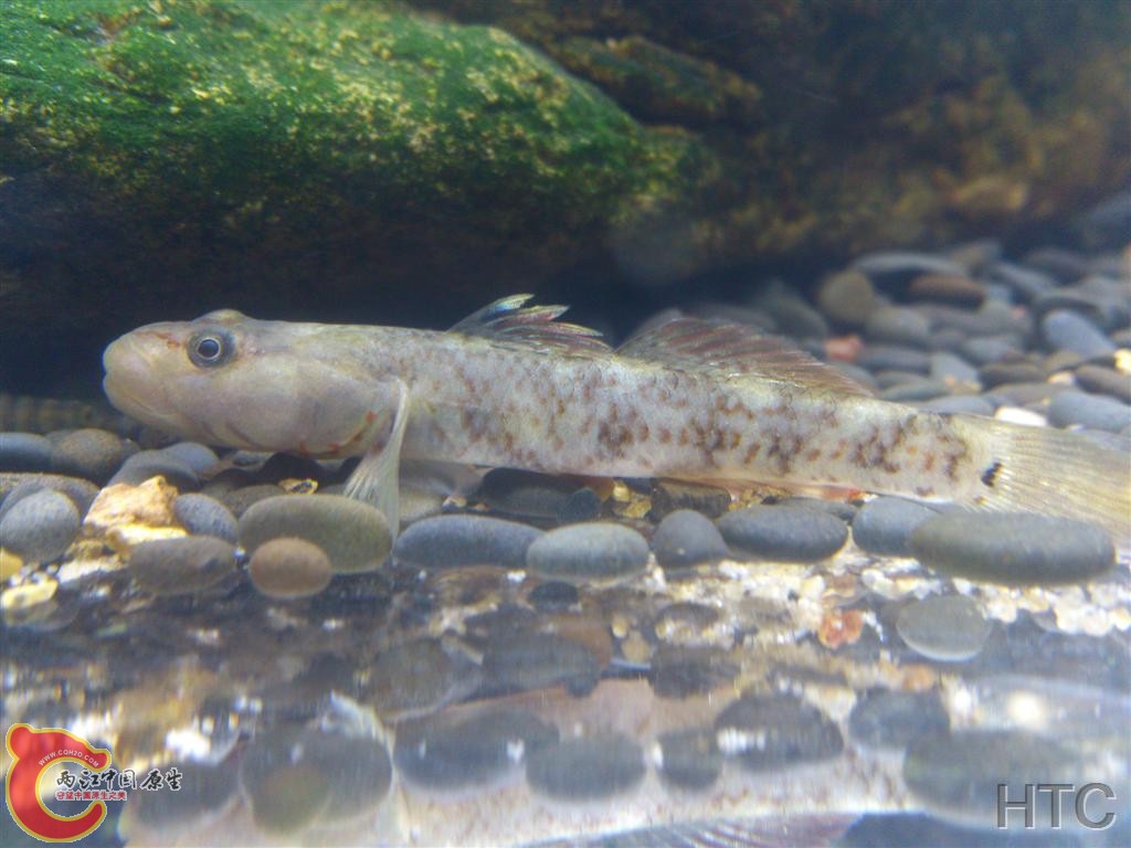 IMG20150921020839.JPG