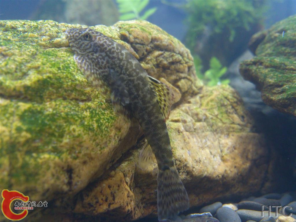 IMG20150921022325.JPG