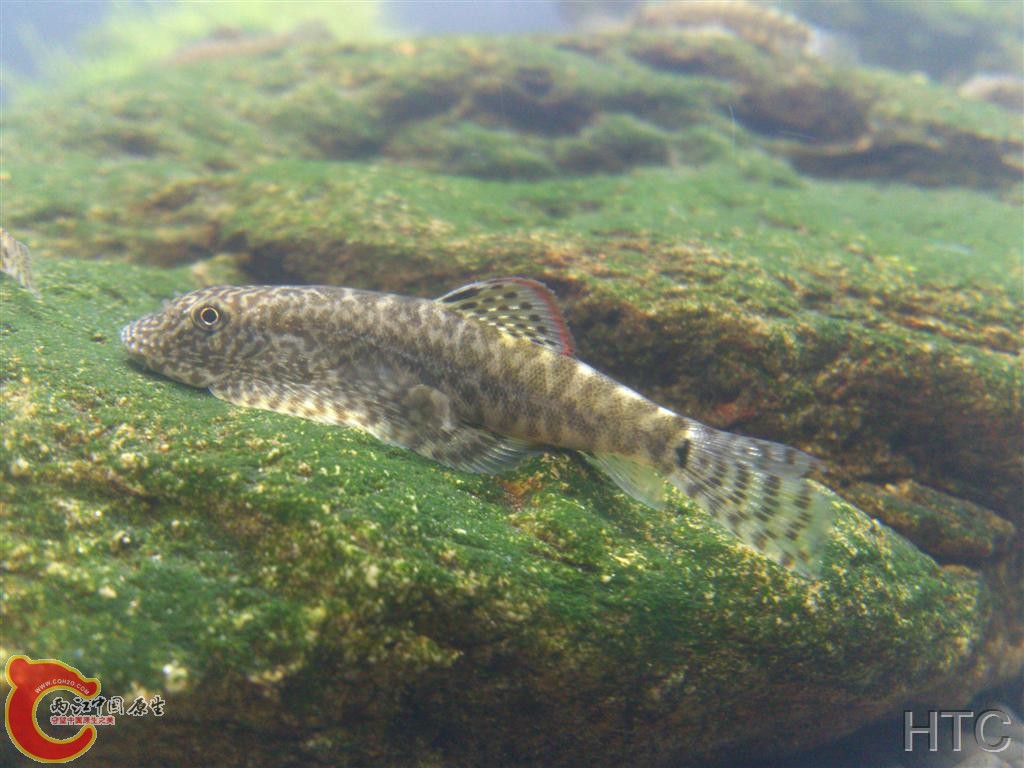 IMG20150921021756.JPG