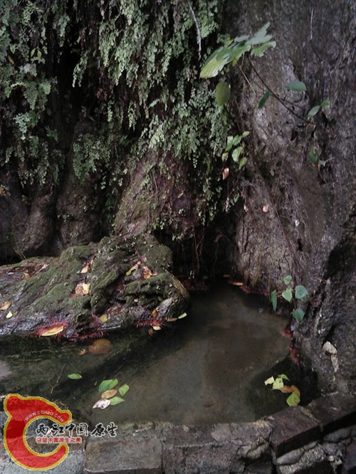 换水后池.jpg