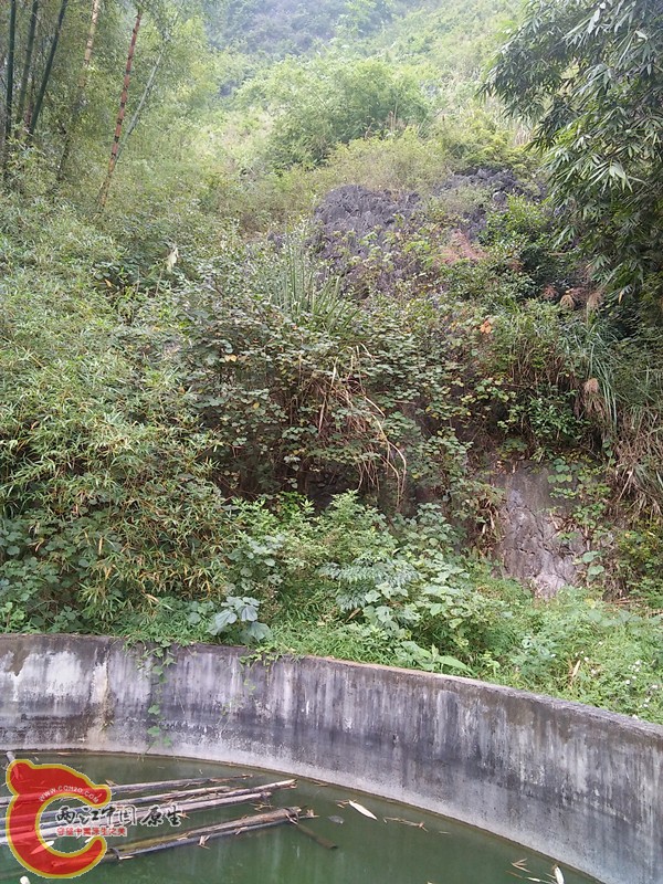 水池后山.jpg