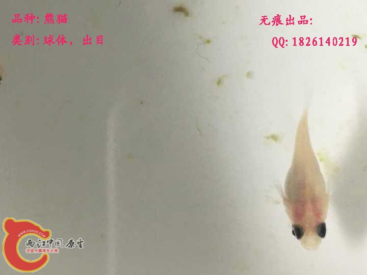 691801e17289ca07副本.jpg