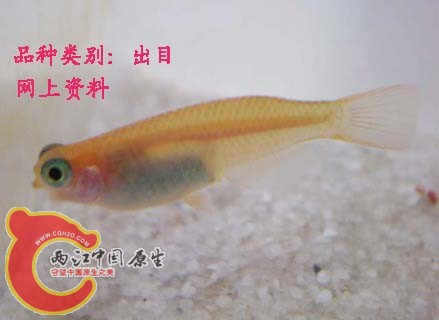 img57573617 (1)副本.jpg
