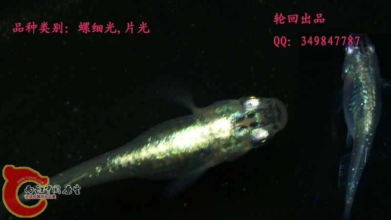 IMG_20151108_103738副本.jpg