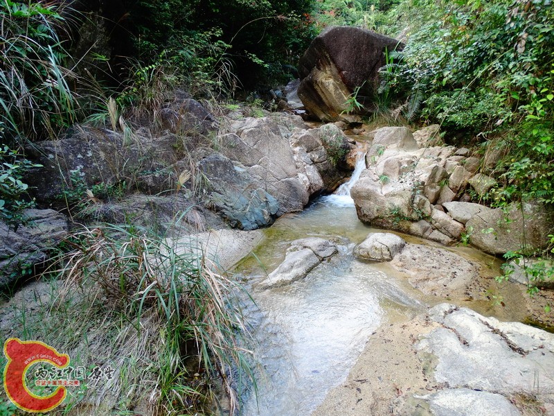 DSC02013.jpg