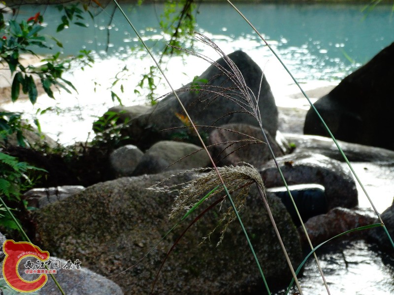 DSC02015.jpg