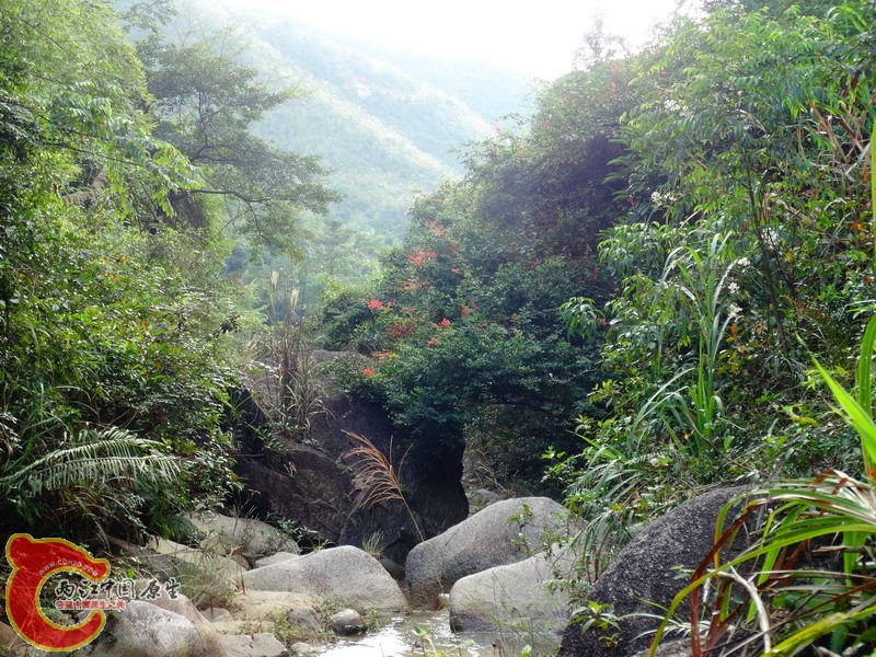 DSC02017.jpg