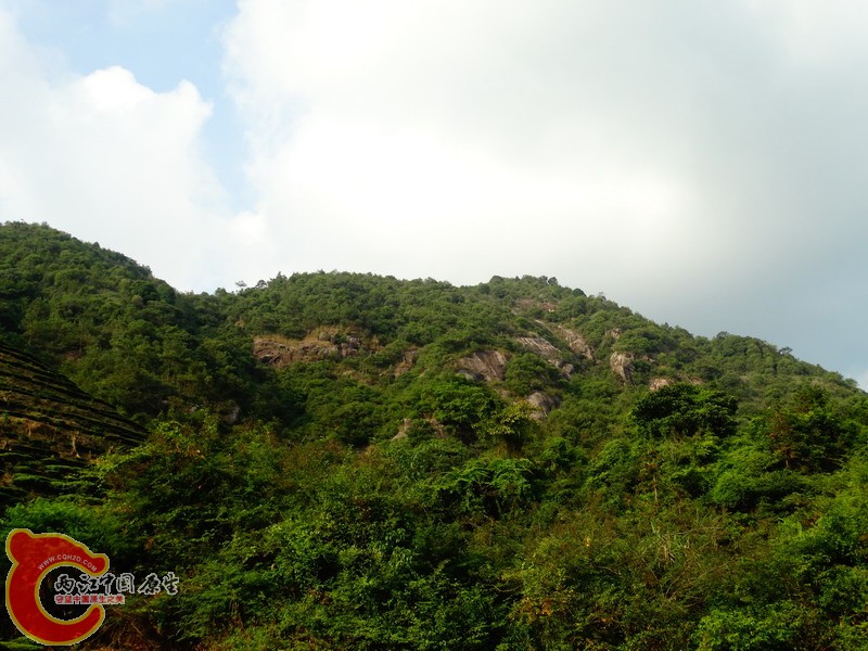 DSC02041.jpg