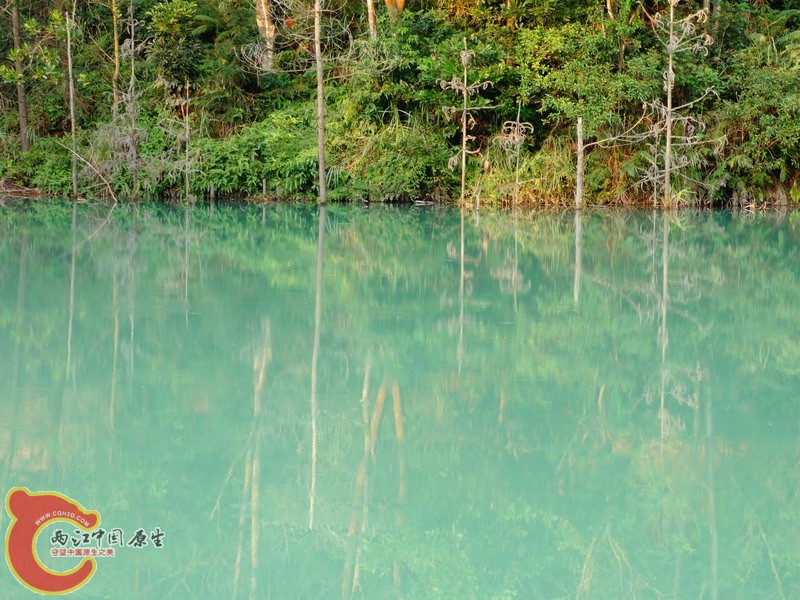 DSC02047.jpg