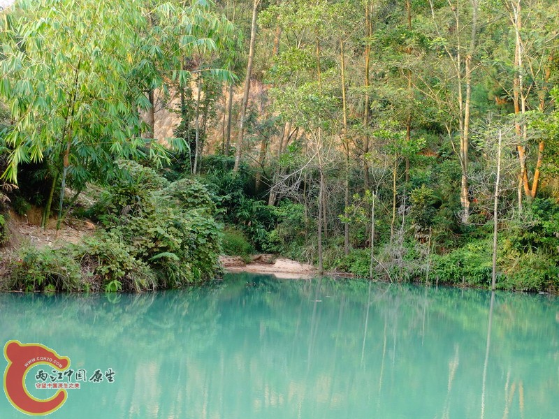 DSC02049.jpg