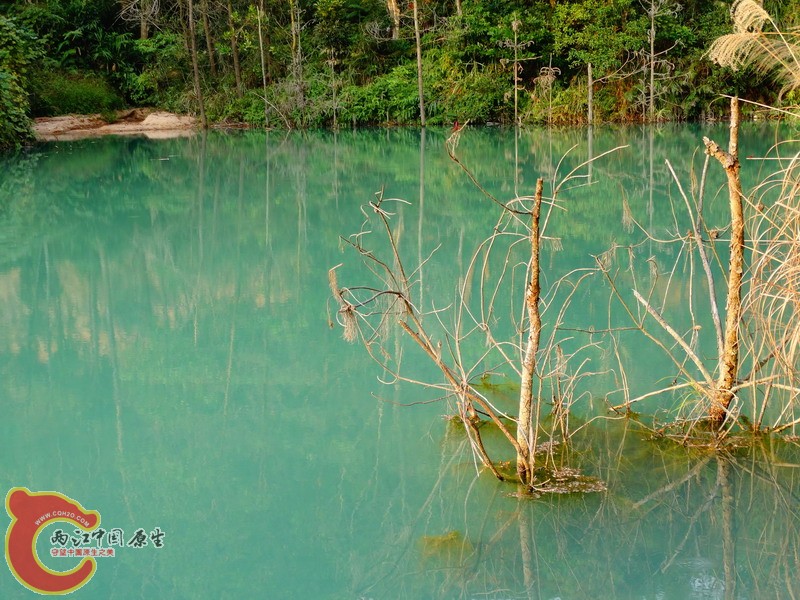 DSC02058.jpg