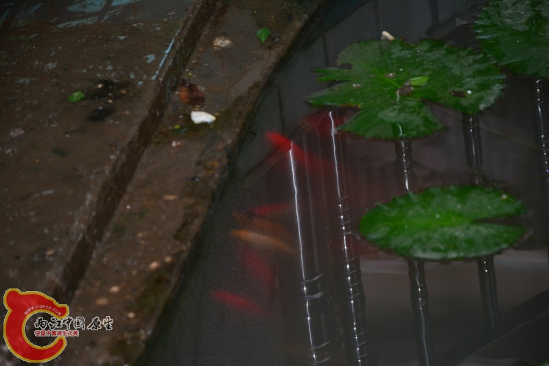 DSC_1430.JPG