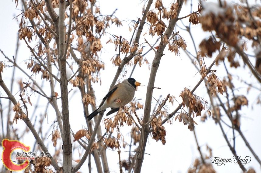 DSC_0257.jpg