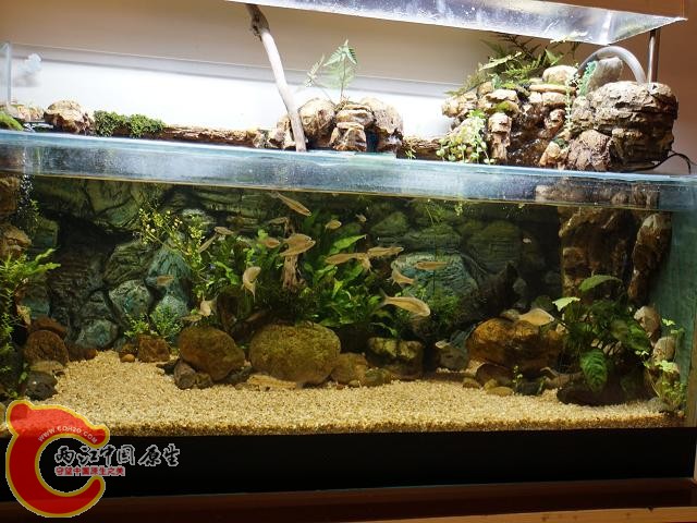 DSC02317调整后DSC02317.JPG