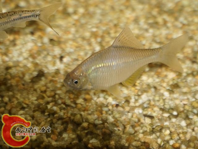 DSC02292调整后DSC02292.JPG