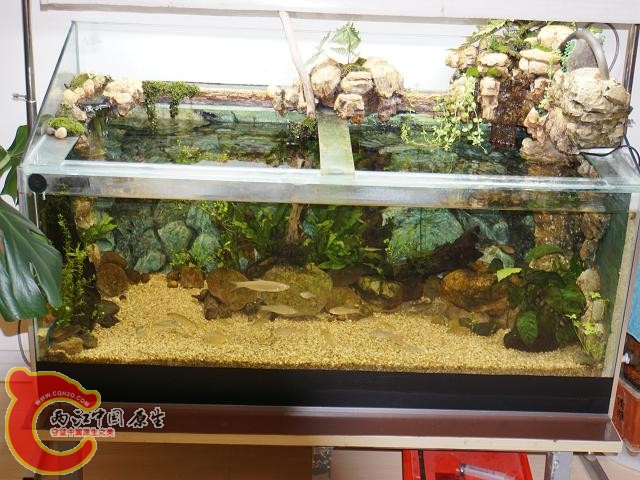 DSC02315调整后DSC02315.JPG