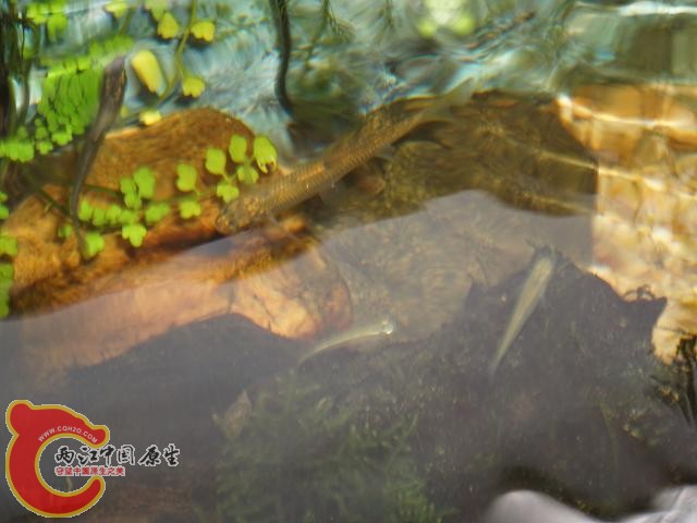DSC02313调整后DSC02313.JPG