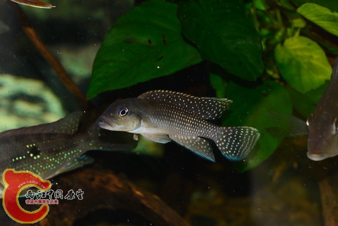 DSC_5943.jpg
