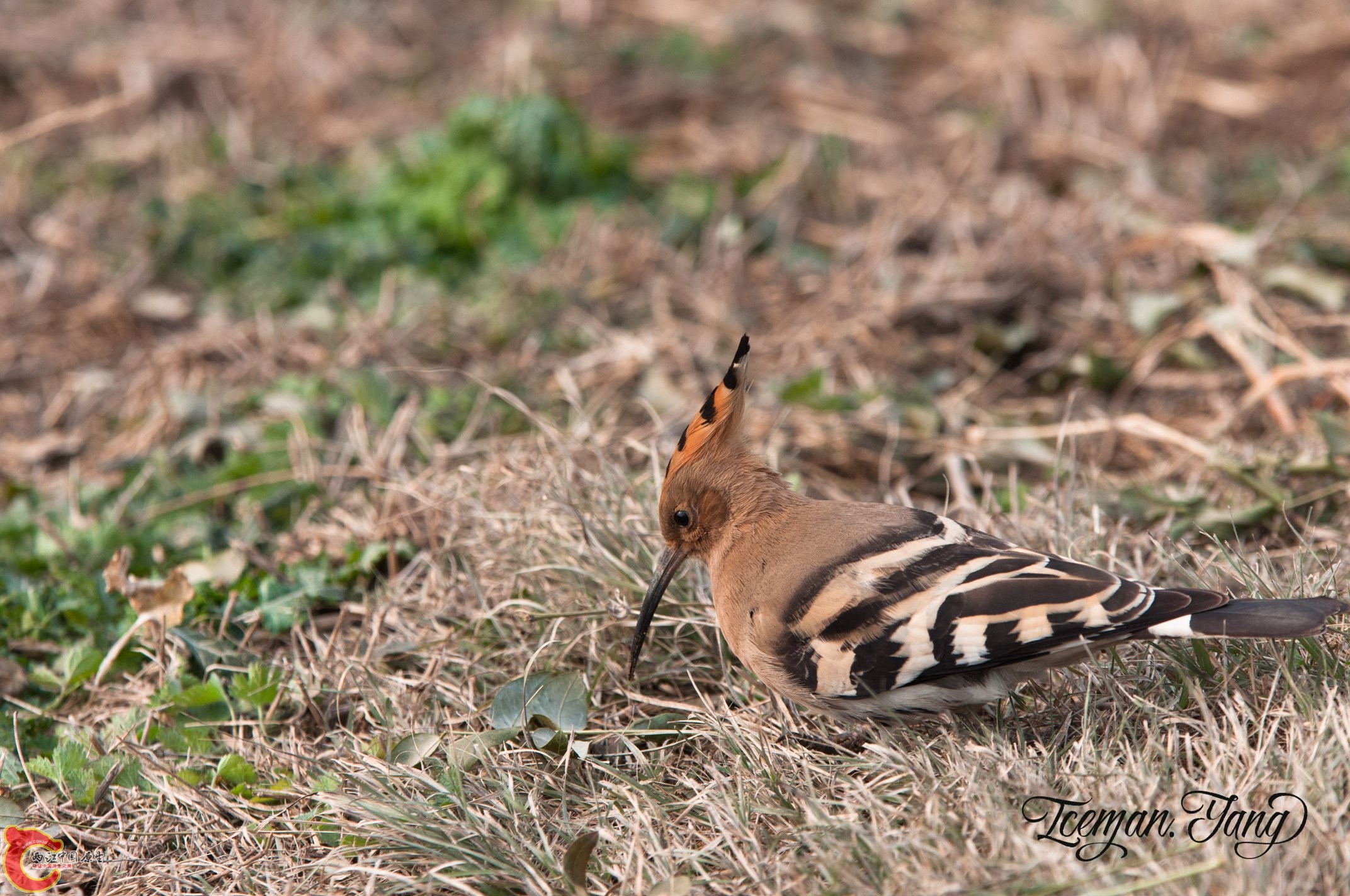 DSC_0122.jpg