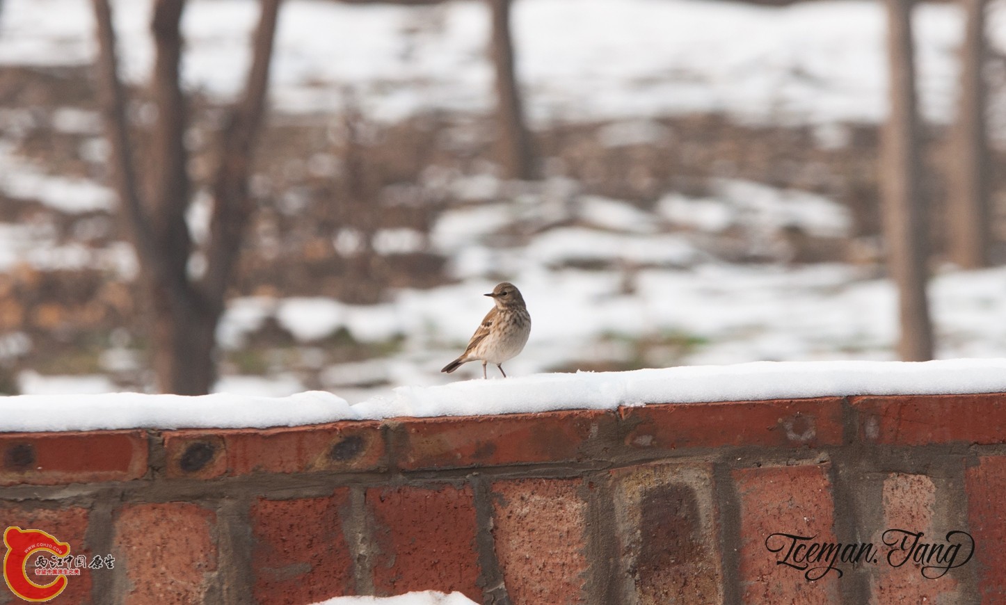 DSC_0150.jpg