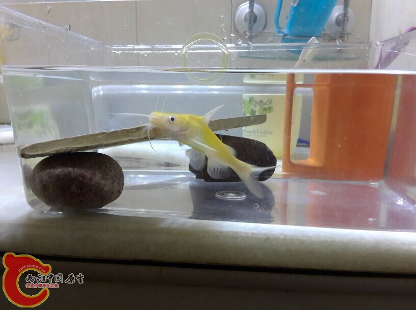QQ图片20151130120922.jpg