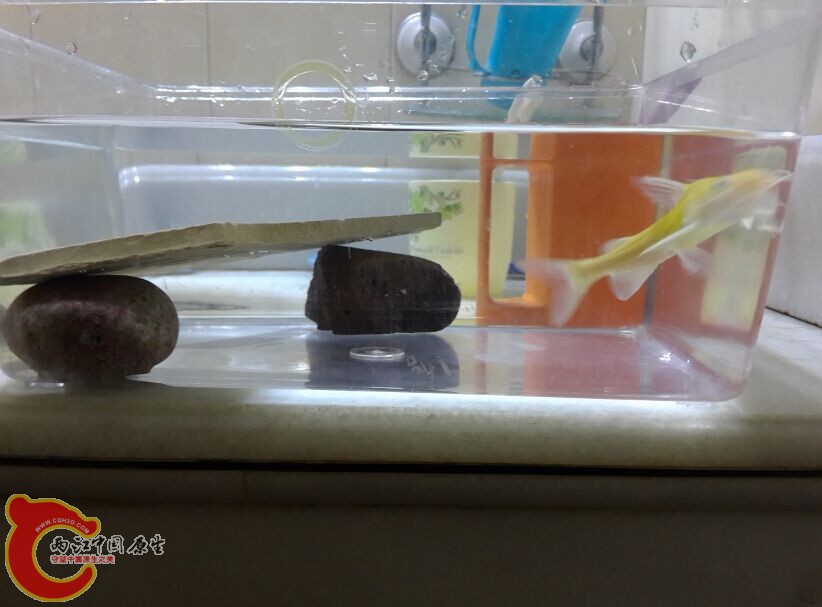QQ图片20151130121037.jpg
