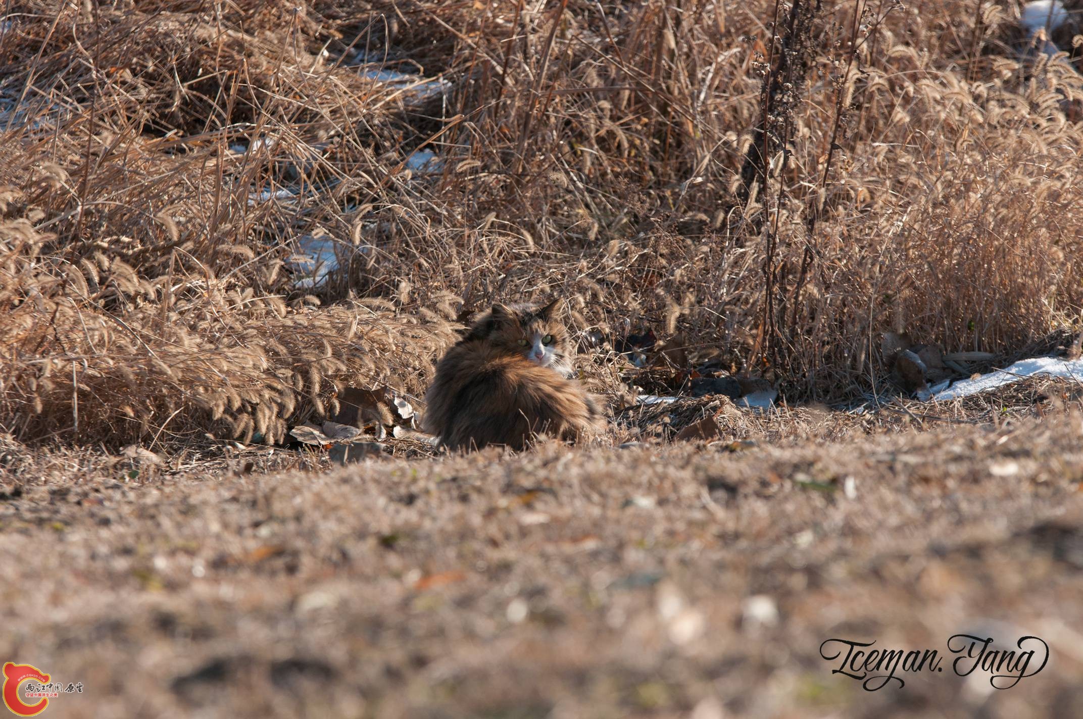 DSC_0007.jpg